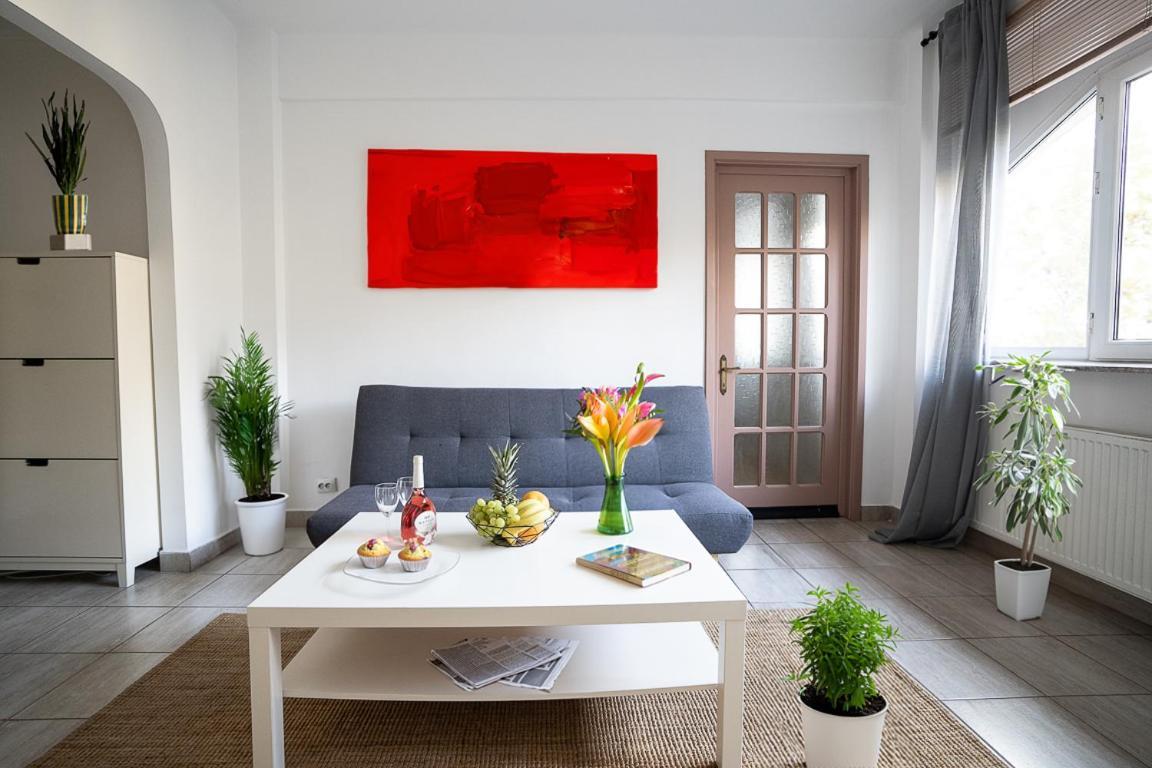 Cismigiu Garden Apartment 布加勒斯特 外观 照片